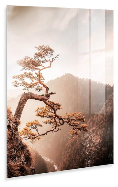 Steklena slika 50x70 cm Brown Tree - Styler