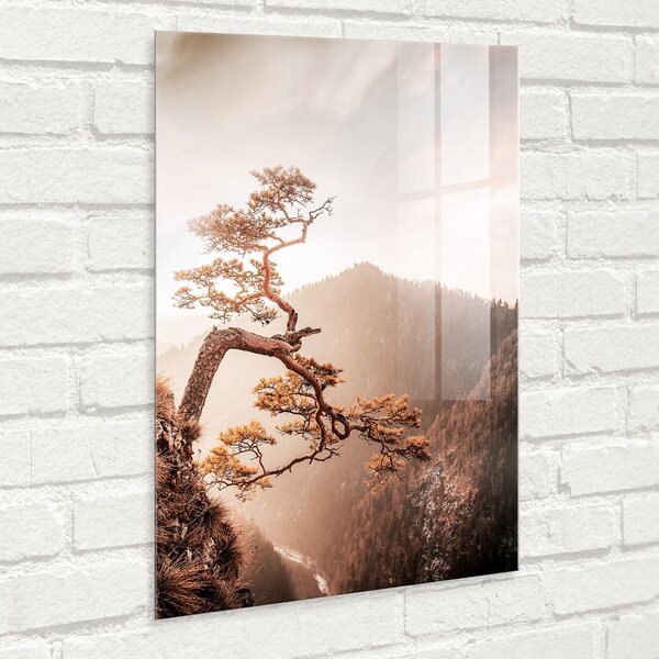 Steklena slika 50x70 cm Brown Tree - Styler