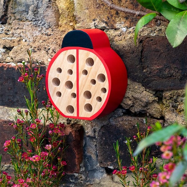 Hotel za žuželke Ladybird – Rex London