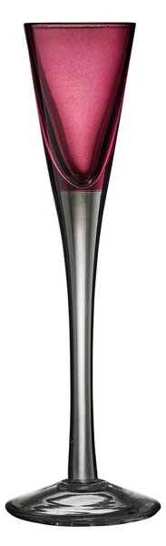 Kozarci v kompletu 6 ks za žganje 50 ml – Lyngby Glas