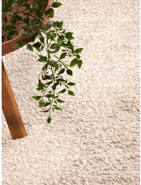Kremno bela ročno tkana bouclé preproga 200x290 cm Notting Hill Portobello – Ted Baker