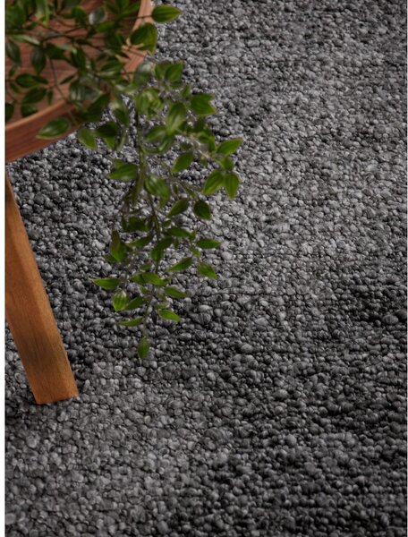 Temno siva ročno tkana bouclé preproga 120x170 cm Notting Hill Portobello – Ted Baker