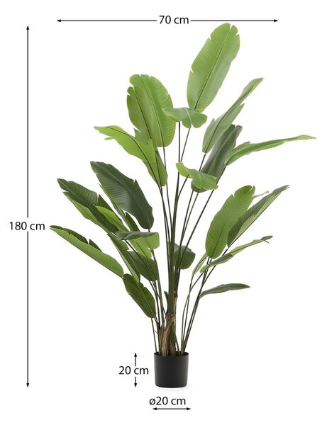 Umeten bananovec (višina 210 cm) – Kave Home