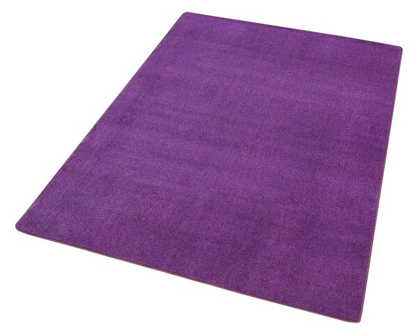 Temno vijolična preproga 80x150 cm Fancy – Hanse Home