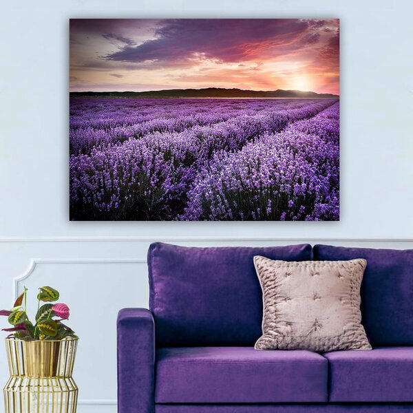 Slika 100x70 cm Lavender Field – Wallity