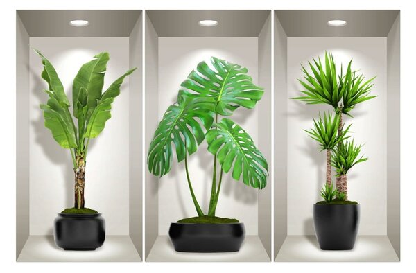 Komplet 3 3D stenskih nalepk Ambiance Green Plants