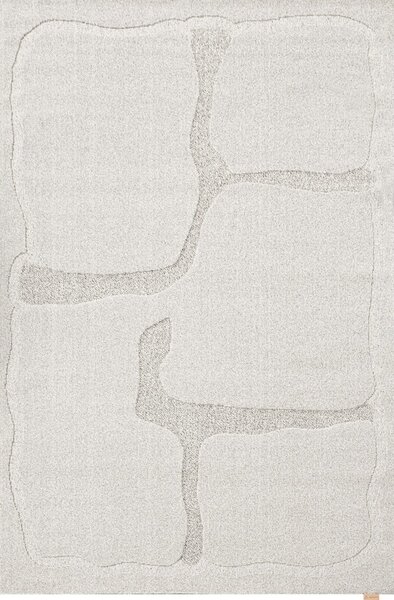 Svetlo siva volnena preproga 160x230 cm Morphic Organica – Agnella