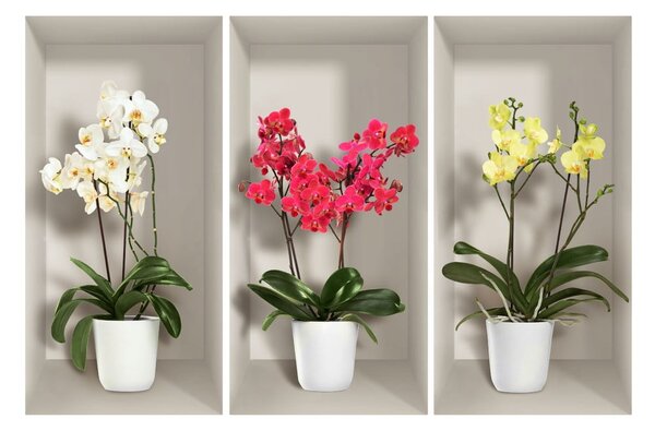 Komplet 3 3D stenskih nalepk Ambiance Orchids