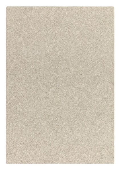 Kremno bela ročno tkana preproga iz mešanice volne 120x170 cm Theodore Chevron – Asiatic Carpets