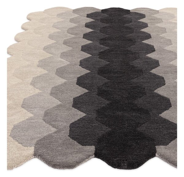 Siva volnena preproga 120x170 cm Hive – Asiatic Carpets