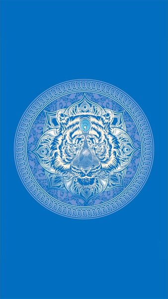 Plažni set TIGER – brisača 100×180 cm in pončo 80×145 cm, modra