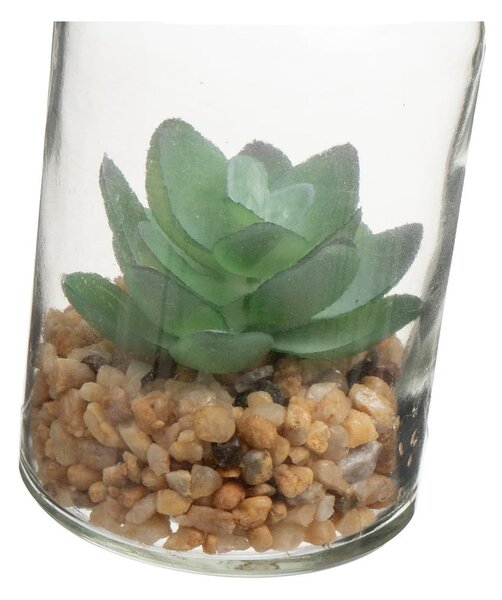 Umetne rastline v kompletu 4 ks (višina 12 cm) Cactus – Casa Selección