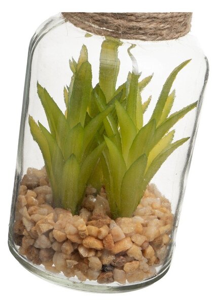 Umetne rastline v kompletu 4 ks (višina 12 cm) Cactus – Casa Selección