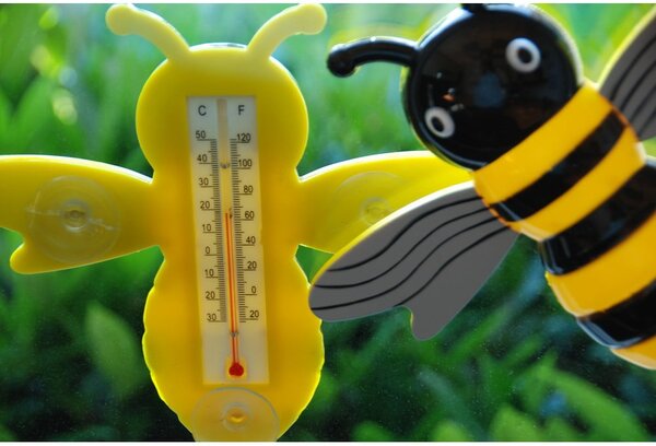 Zunanji termometer Bee – Esschert Design