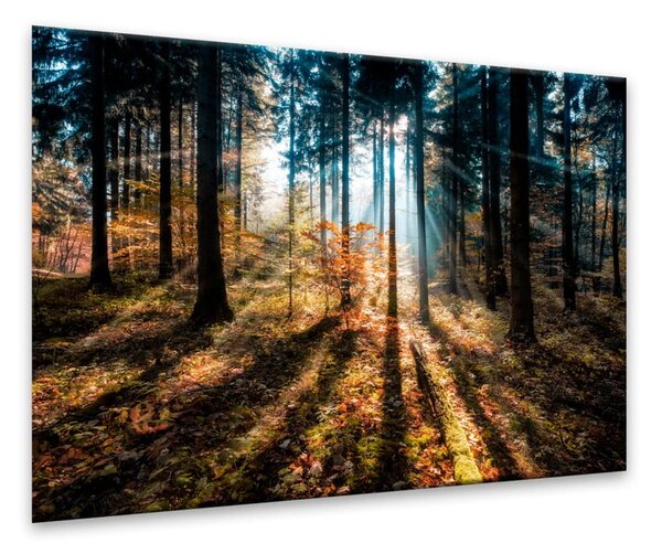 Slika Styler Glasspik Autumn Sunset, 70 x 100 cm