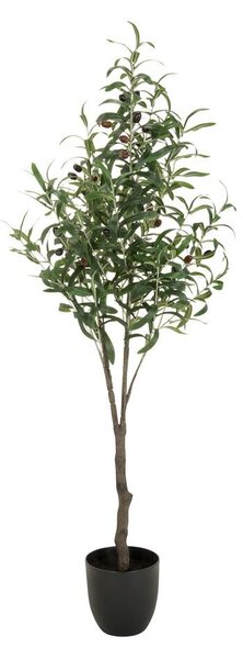 MID.YOU Umetna Rastlina Olive