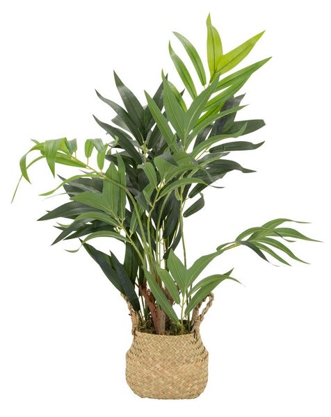 MID.YOU Umetna Rastlina Chamaedorea