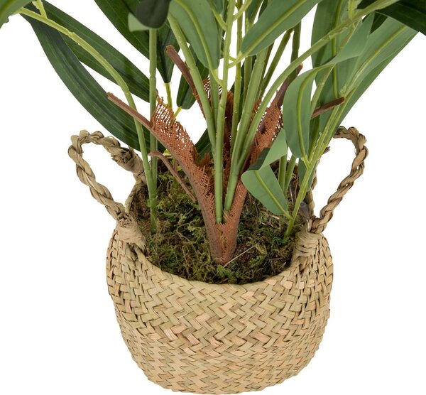 MID.YOU Umetna Rastlina Chamaedorea