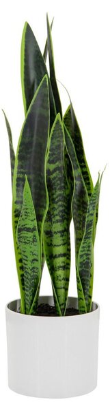 MID.YOU Umetna Rastlina Sansevieria