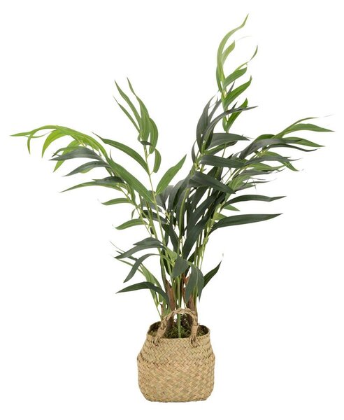 MID.YOU Umetna Rastlina Chamaedorea