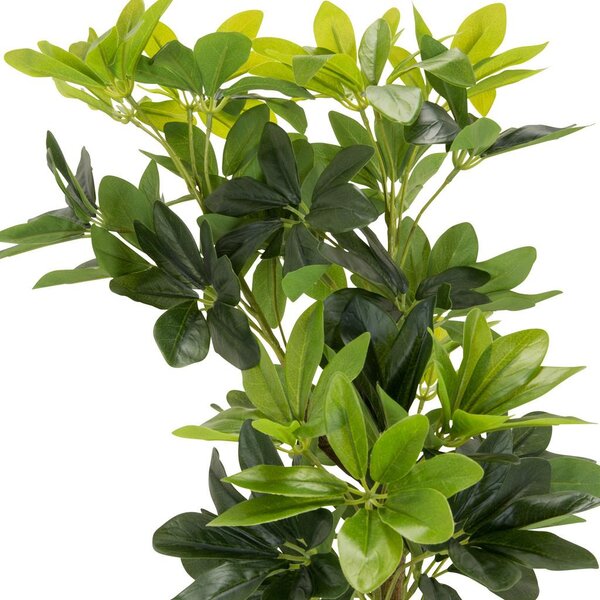 MID.YOU Umetna Rastlina Schefflera