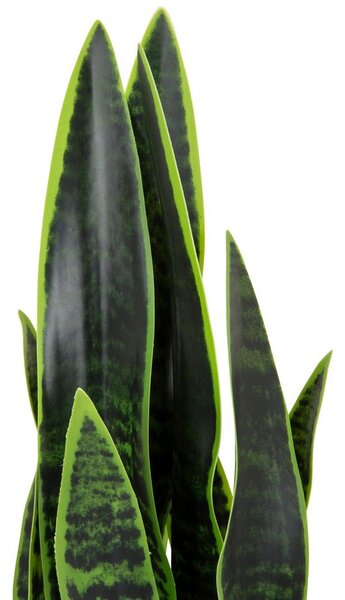 MID.YOU Umetna Rastlina Sansevieria
