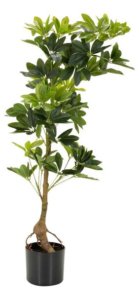 MID.YOU Umetna Rastlina Schefflera