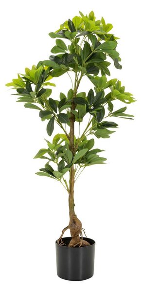 MID.YOU Umetna Rastlina Schefflera
