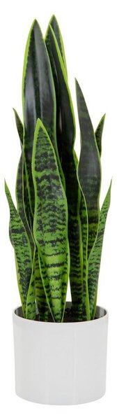 MID.YOU Umetna Rastlina Sansevieria