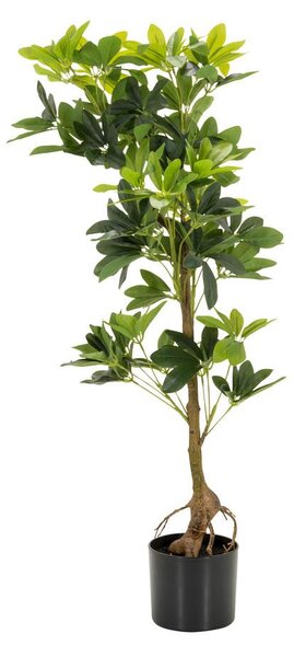 MID.YOU Umetna Rastlina Schefflera