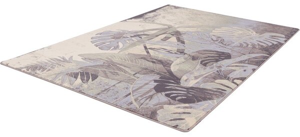 Siva/kremno bela volnena preproga 160x240 cm Plants – Agnella