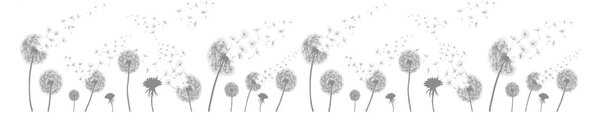 Okenska nalepka 200x40 cm Dandelions - Ambiance