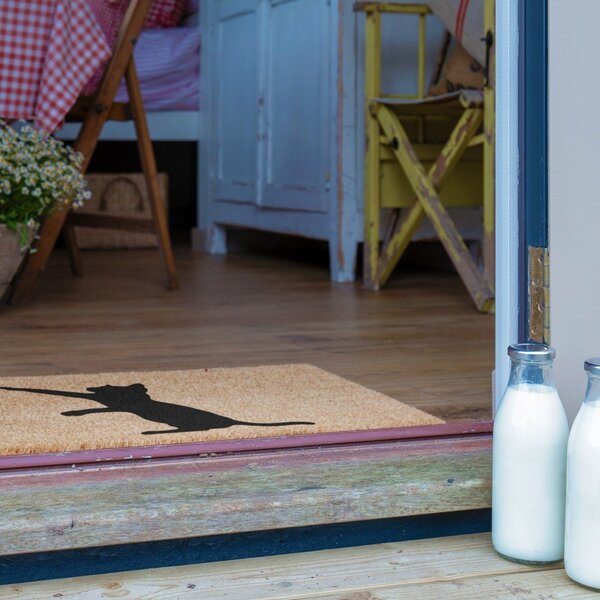 Predpražnik iz kokosovih vlaken 40x60 cm Cat – Artsy Doormats