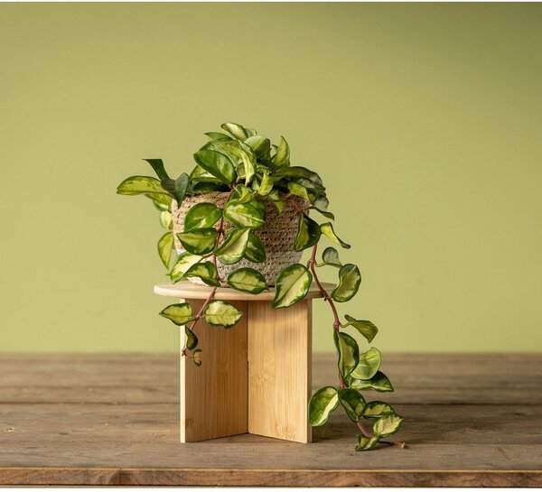 Stojalo za cvetlične lonce iz bambusa ø 25 cm (višina 19,5 cm) – Esschert Design