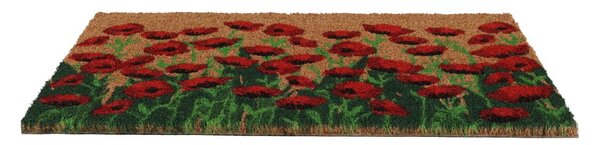 Predpražnik iz kokosovih vlaken 40x60 cm - Esschert Design