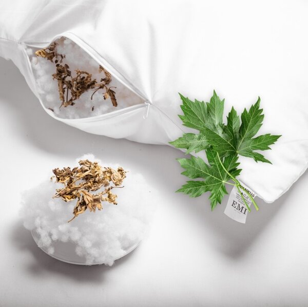 Aromatični vzglavnik Mugwort 50x70 cm EMI