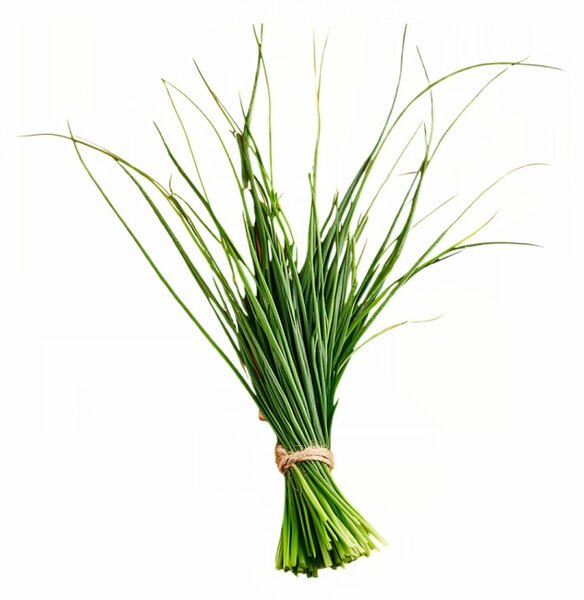 Aromatski vzglavnik Lemongrass 50x70 cm EMI
