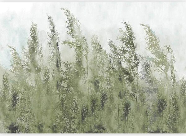 Artgeist Fototapeta Tall Grasses, 150x105cm