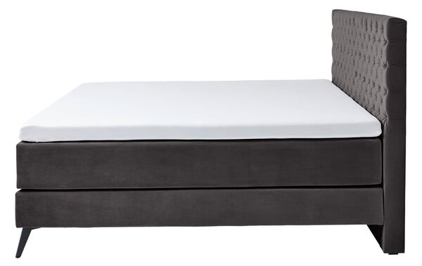 Antracitno siva postelja boxspring 160x200 cm La Maison - Meise Möbel