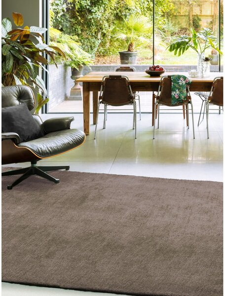 Rjava preproga 120x170 cm Milo – Asiatic Carpets