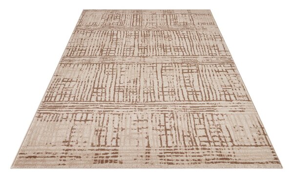 Rjava/bež preproga 160x235 cm Terrain – Hanse Home