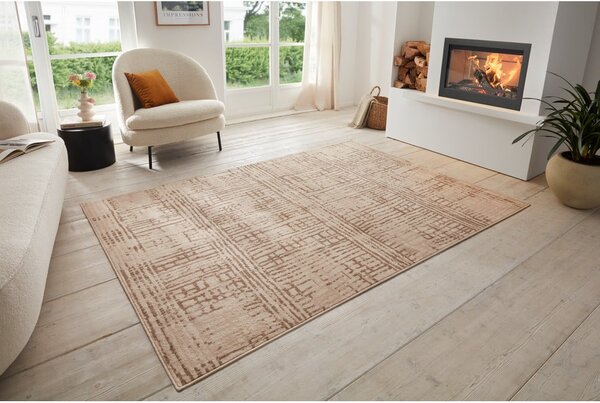 Rjava/bež preproga 160x235 cm Terrain – Hanse Home