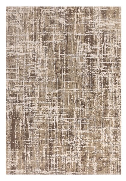 Bež preproga 120x170 cm Kuza – Asiatic Carpets