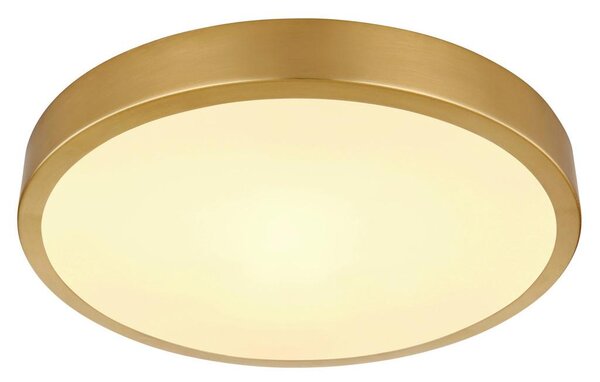 Globo Stropna Led-svetilka 12381-15