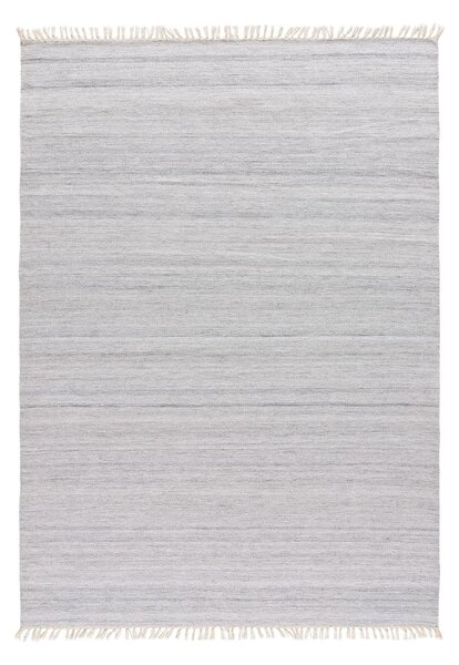 Svetlo siva zunanja preproga iz reciklirane plastike Universal Liso, 140 x 200 cm