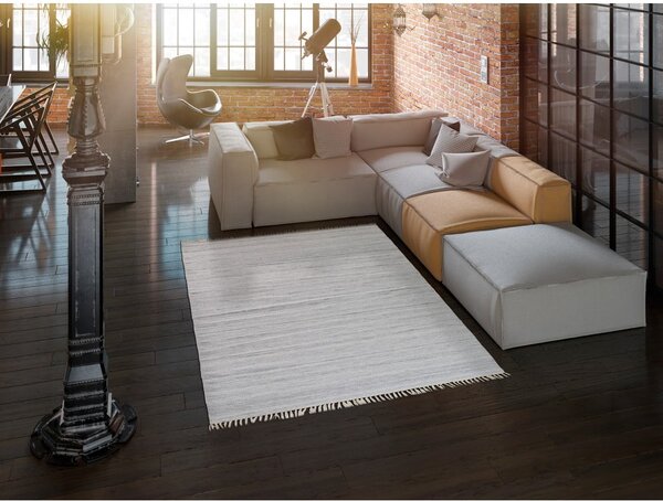 Svetlo siva zunanja preproga iz reciklirane plastike Universal Liso, 140 x 200 cm