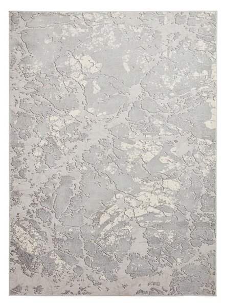 Siva/brezova preproga 170x120 cm Apollo - Think Rugs