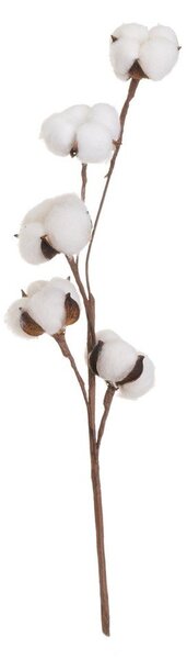 Sušena rastlina (višina 55 cm) Cotton – Casa Selección