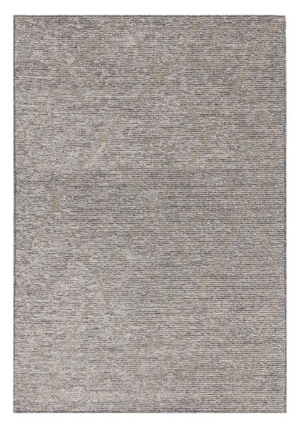 Siva preproga iz mešanice jute 120x170 cm Mulberrry – Asiatic Carpets