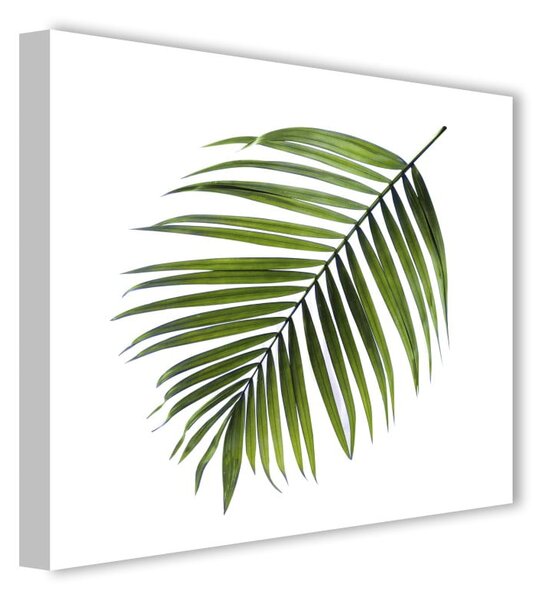 Slika Styler Canvas Greenery Black Palm, 32 x 32 cm